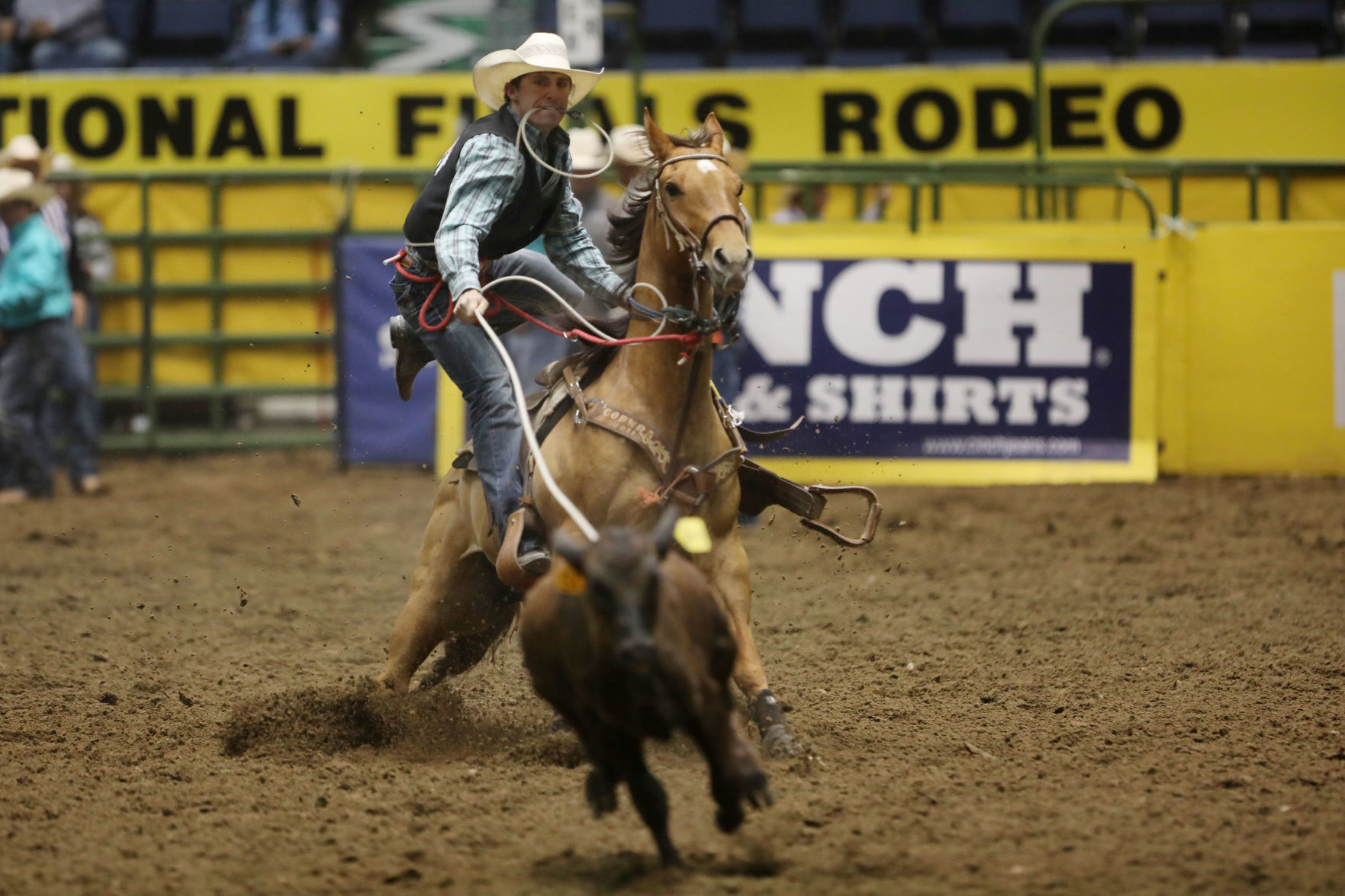 CNFR: Wednesday